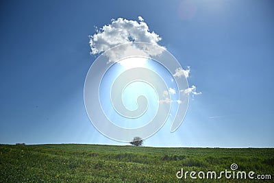 a solitary cloud above a single tree in a vast green field, sunlight rain Stock Photo