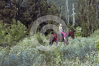 Lonely cute young girl rides in saddle riding a brown horse in forest or Park at sunset. The girl confidently controls Stock Photo