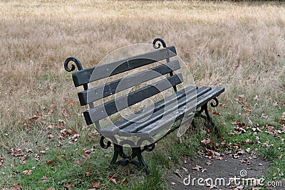 A lonely dark bench in the park clearing Stock Photo