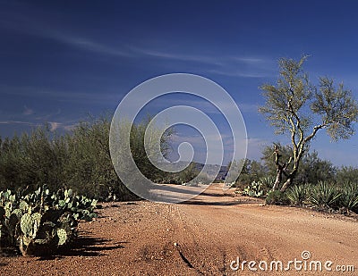 A lonely desert back road Stock Photo