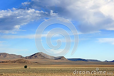 Lonely dry tree in the middle of nowhere Stock Photo