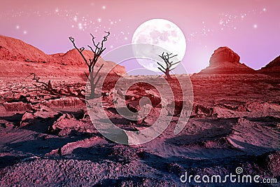 Lonely dry trees in the desert against a beautiful pink sky and a full moon. Moonlight in the desert. Artistic natural image. Stock Photo