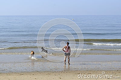 Lonely female looking at dogs playing with sea waves Editorial Stock Photo