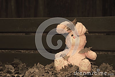 Lonely forgotten abandoned teddy toy bunny rabbit sat on an wooden bench covered with autumn leaves. Lonely forgotten abandoned Stock Photo