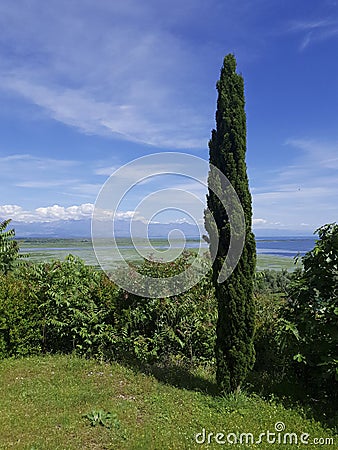 A lonely guardian of a valley in a national park of Skadar lake Stock Photo