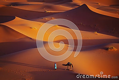 Lonely man and camel in Sahara Desert Stock Photo