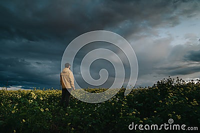 A lonely man in yellow jacket exploring rural area in Lithuania. Agricultural scene of rapeseed and dramatic storm clouds above. Stock Photo