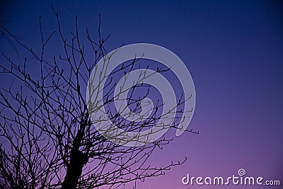 Lonely night, summer fall season beautiful dusk sky. Stock Photo