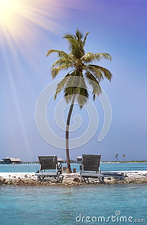 Lonely palm tree on the tiny island in the sea. Maldives Stock Photo