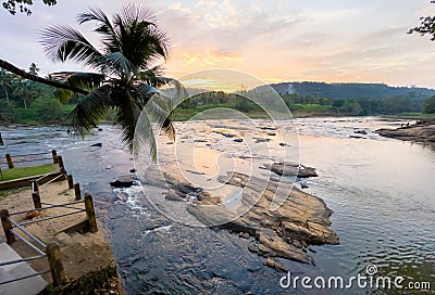 Lonely palm tree with wide angle rocky river sunset landscape with jungle banks in Pinnawala Elephant Orphanage Stock Photo