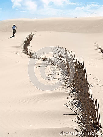 Lonely on a quiet beach Stock Photo