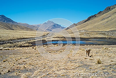 Lonely Railroad Tracks in the Andes Mountains of Peru Stock Photo