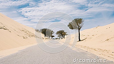 Lonely Road in Cadiz Stock Photo