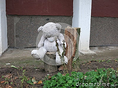 Lonely, sad bear sitting on a stump and waiting for summer. Stock Photo