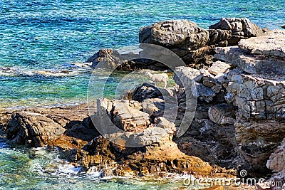 Lonely sheep at rocky seashore Stock Photo