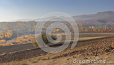 Lonely Standing Tree Plowed Field Stock Photo