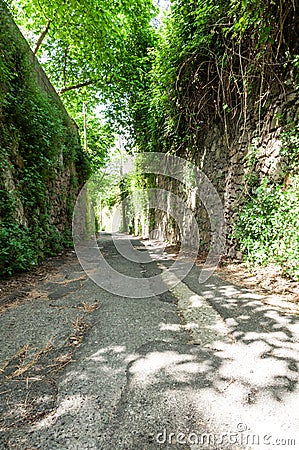 Lonely street Stock Photo