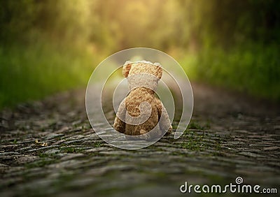 Lonely teddy bear on the road Stock Photo