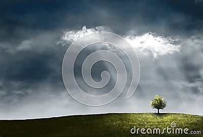 Lonely tree in the field. Dense dark clouds and rays of the sun. Painted art picture. Stock Photo