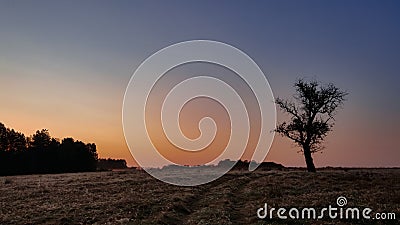 Lonely tree in the middle of a broad clearing. A picturesque and wild place in the autumn season Stock Photo