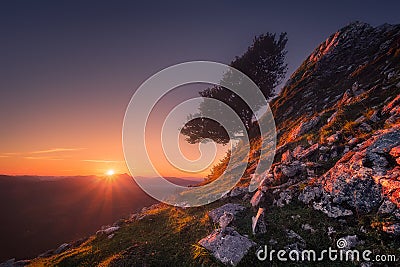 lonely tree at sunrise in Gorbea Stock Photo
