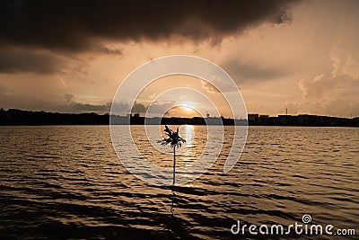 Lonely tree during sunset before the storm Stock Photo