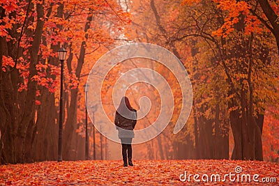Lonely woman walking in park on a foggy autumn day. Stock Photo