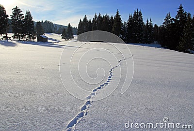 Lonesome snowy scenery Stock Photo