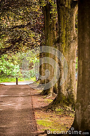 Long angle vieuw in the park Stock Photo