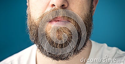 Long beard Stock Photo