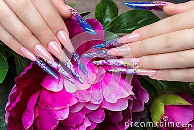 Long beautiful manicure with flowers on female fingers. Nails design. Close-up Stock Photo