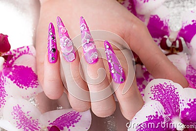 Long beautiful manicure with flowers on female fingers. Nails design. Close-up Stock Photo