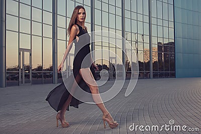 Long Black Dress Stock Photography | CartoonDealer.com #43029830