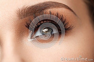 Long Black Eyelashes. Closeup Beautiful Female Eye With Makeup Stock Photo