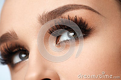 Long Black Eyelashes. Closeup Beautiful Female Eyes With Makeup Stock Photo