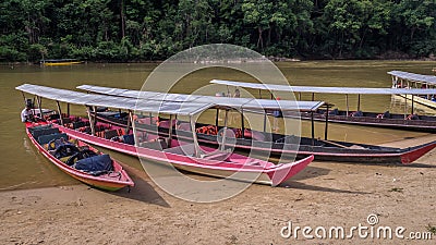 Long boats in rainforest in Taman Negara, Malaysia Editorial Stock Photo