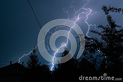 Trees silhouette against bright lightning in the background Stock Photo