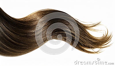 long brown human dark hair isolated on white background Stock Photo