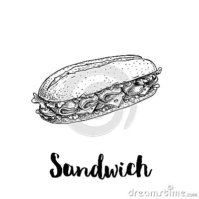 Long chiabatta sandwich with ham slices, cheese, tomatoes and lettuce leaves. Hand drawn sketch style. Fast food drawing for resta Vector Illustration