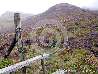 Long Crag seen from stile and much heather Stock Photo