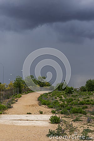 A long dirt path in an urban park Stock Photo