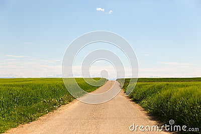 Long dirt road through fields Stock Photo