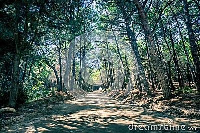 Long empty road Stock Photo