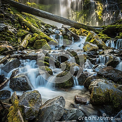 Long Exposure of the Bottom of Proxy Falls Stock Photo