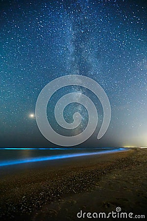 Long exposure shot of glowing plankton on sea surf and milky way. Blue bioluminescent glow of water under the starry sky Stock Photo