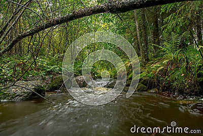 Forest river autumn long exposure colorful Stock Photo