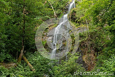 Canonteign Falls in Dartmoor Stock Photo
