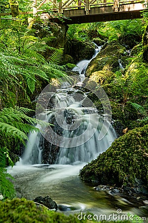 Canonteign Falls in Dartmoor Stock Photo