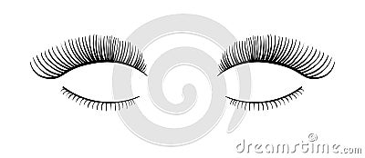 Long false black eyelashes vector illustration. Eyelash extension Vector Illustration