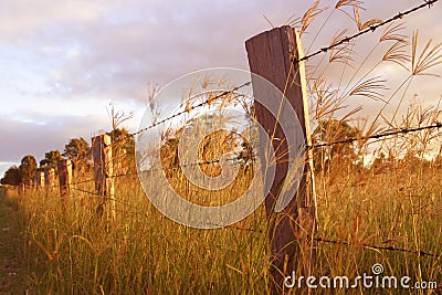 Long Fence Stock Photo